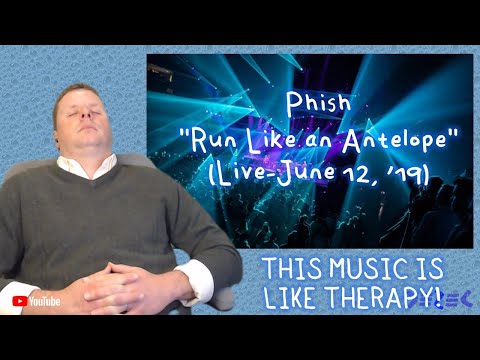 DMB Fan First Time Hearing "Run Like an Antelope" (Phish)