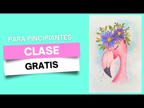 Clase gratis | flamenco con flores |