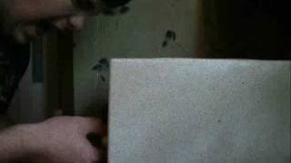 Freestyle republick 7