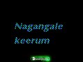 Theendi Theendi Theeyai Moottugiraaye Whatsapp Status Love Status Tamil Status Bala Movie Song
