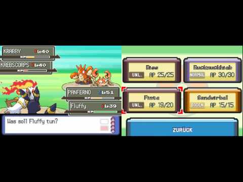 Pokemon Bloody Platinum [28] - Wir müssen uns Anpassen