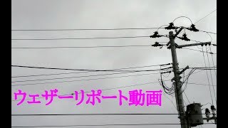 2019/01/28 ウェザーリポート動画【まだ雪が残る月曜日】＠福島県福島市/16:30頃
