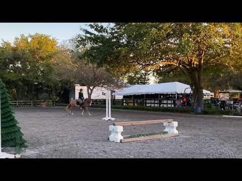 Rondos Monaco (prince)