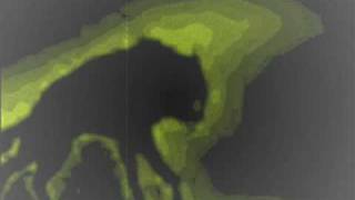 thirst for blood video.wmv