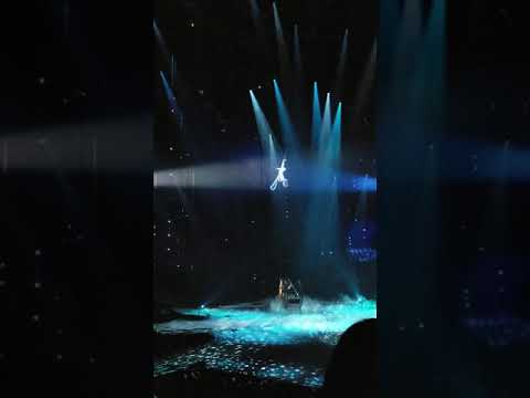 Las Vegas The Beatles circus