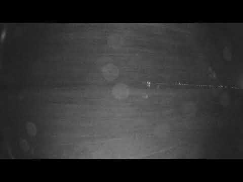 Sterling Reef PCB Webcam in FL live webcam