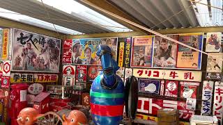 【下関市】正円寺の桜