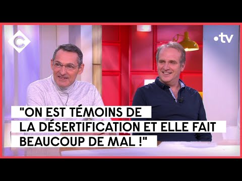 Le phénomène Bodin’s - C à Vous - 17/04/2023