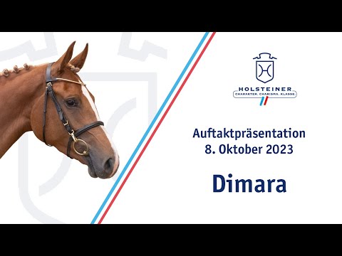 Nr. 117 | Dimara - Auftaktpräsentation