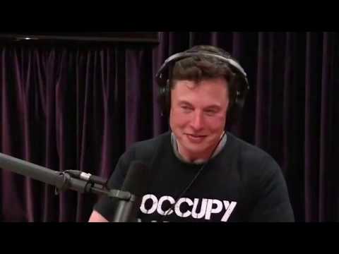 RIP Harambe - Elon musk unofficial