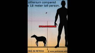 Modern animals and their TINY extinct relatives #prehistoric #extinct