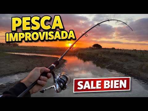PESCA EN UN ARROYO DE LA RUTA - CARPAS, BAGRES, DIENTUDOS Y NATURALEZA 🎣 🦀🐟🐓🐇🌳