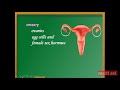 Parts of Female Reproductive  System and its Functions (2nd Quarter_video-3)