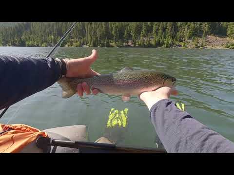 Summer Lake Fishing 2023