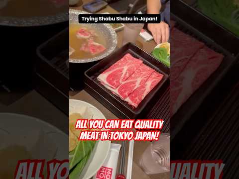 QUALITY AYCE SHABU SHABU IN TOKYO JAPAN! (Shibuya)