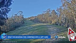 Standard - Mount Buller