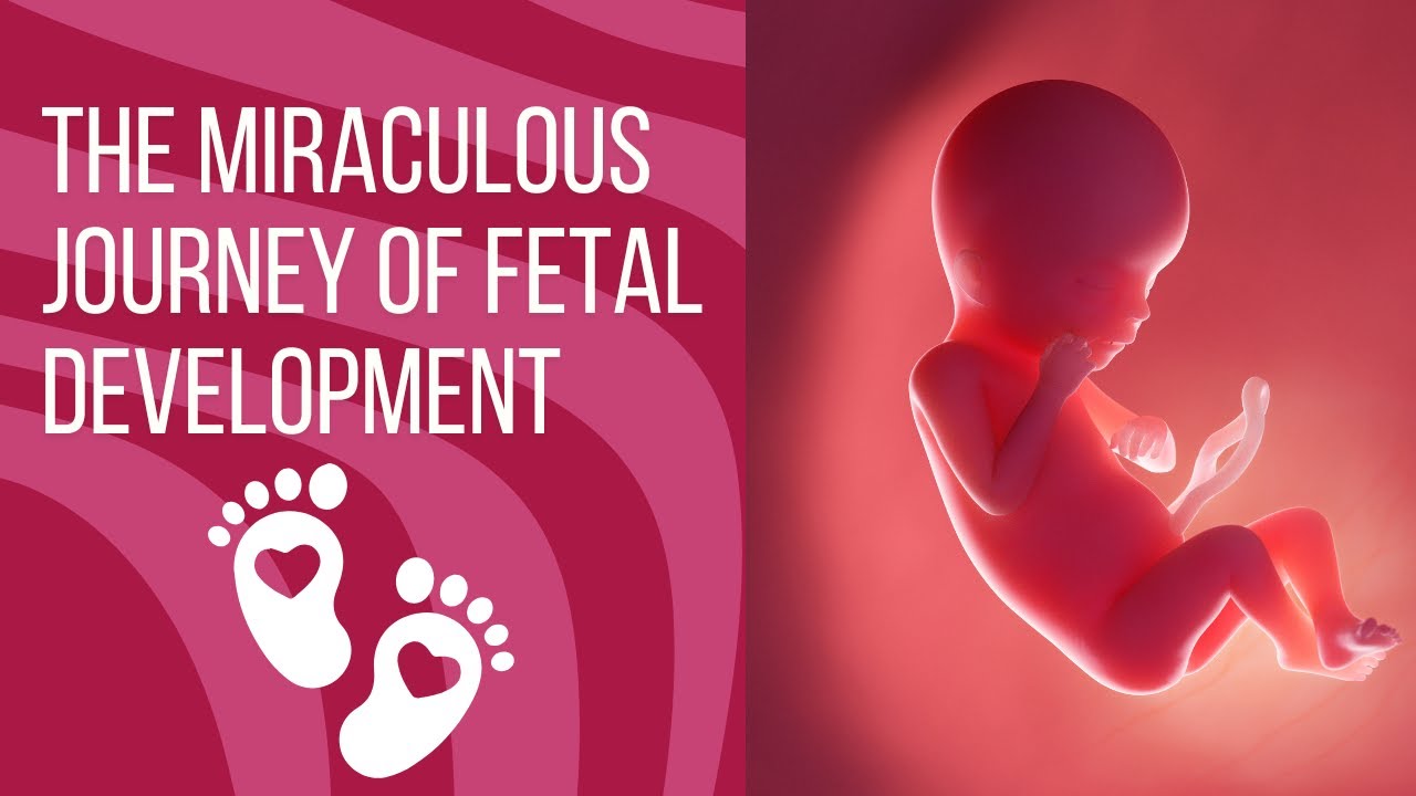 Featured Educational Video 3