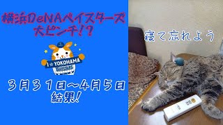【好調？不調？】横浜DeNAベイスターズ今週の結果まとめ！
