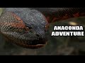 Anaconda Attack Hollywood Movies In Hindi Full Hd
