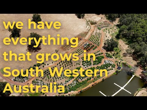 A tour of our Food Forest in South Western Australia