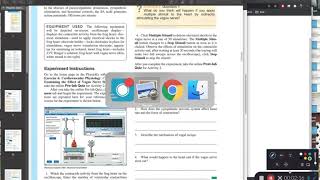 PhysioEx Exercise 6 Activity 2