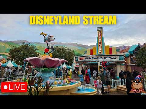 Live webcam of Koda Bear the Explorer 