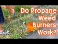 We Tried a PROPANE WEED BURNER To Get Rid of NUISANCE PLANTS - It Wasn't As Great As We Hoped