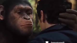 Download lagu Sesok prei mp3