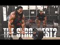 Deadlift Destruction 275lb Mammoth Vs 230Lb Athlete Who Wins ?!