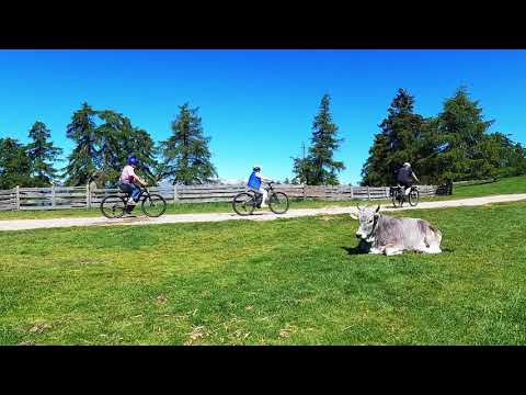 E Bike Tour Salten Südtirol 4K