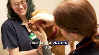 Du suchst einen Tierarzt in der Nähe?