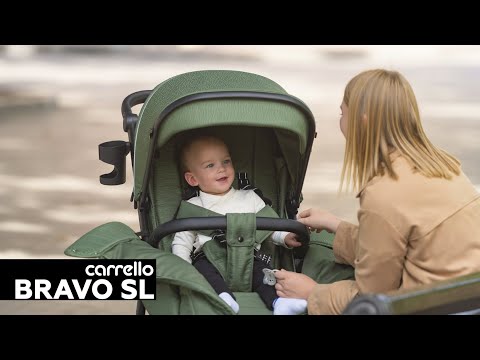 Прогулочная коляска Carrello Bravo Fruit Green (CRL-5520 Fruit Green)