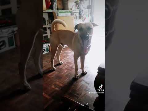 ได้เวลาบัดดี้