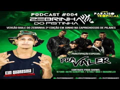 PODCAST 004 DO DJ ZEBRINHA DO PISTINHA[ AS MELHORES DO BAILE DO PISTINHA ] 2017