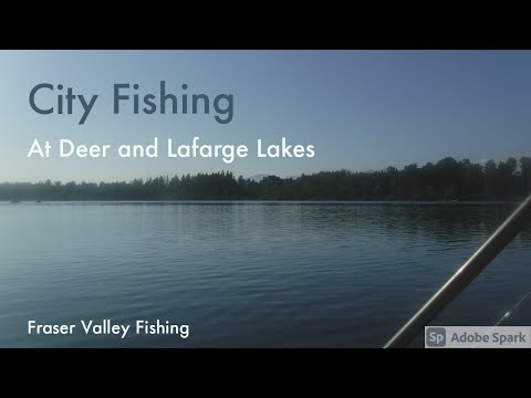 City Fishing at Deer Lake and Lafarge Lake