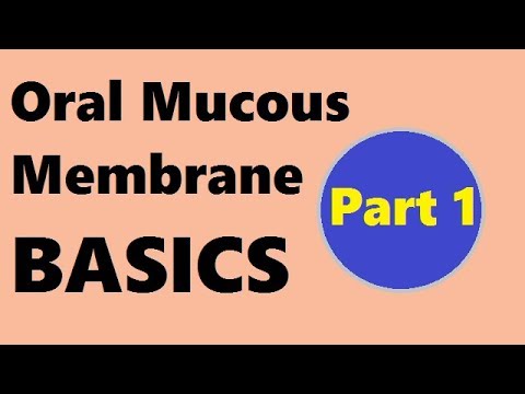 Oral mucous membrane : Part 1 Basics