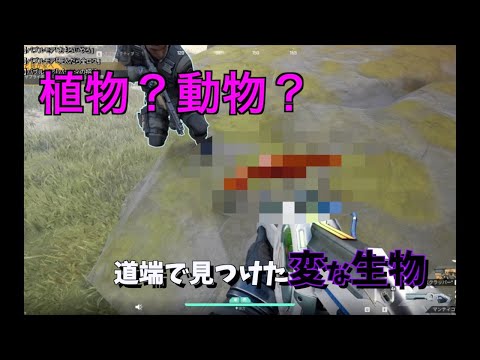 YouTube等に投稿する動画を編集します イメージ1