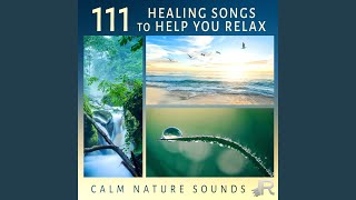 Oriental Massage, Therapy Spa Room