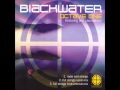 Octave One feat Ann Saunderson - Blackwater (Chase The Blue instrumental mix)