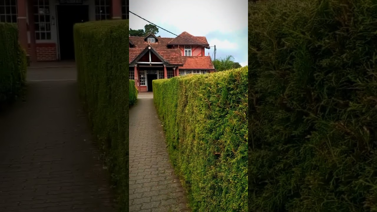 YouTube Short thumbnail