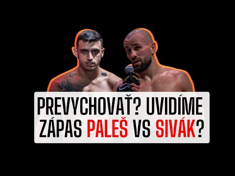 ROZHOVOR: Chce ho prevychovať? Milan Paleš vysvetlil svoje vyjadrenie smerom k Vaškovi Sivákovi