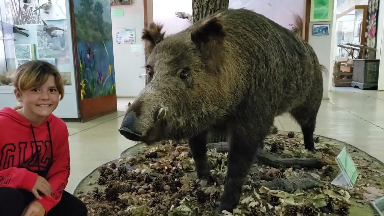 Полезное видео