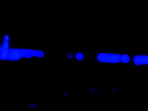 TONY HUMPHRIES "LIVE" @ TEATRO POSILLIPO (NAPLES) 12/25/11