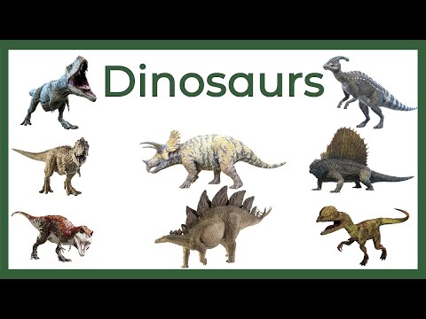🦕 How to Pronounce Names of Dinosaurs in English