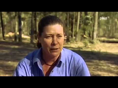 Die Buschpolizei von Queensland