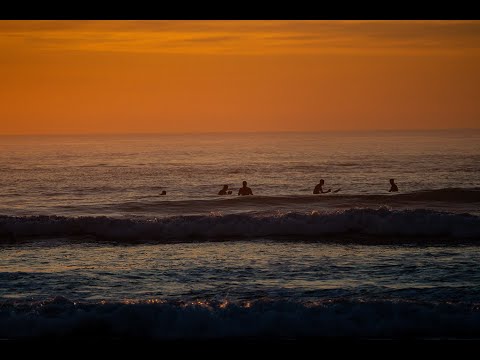 LE RETOUR DES VAGUES