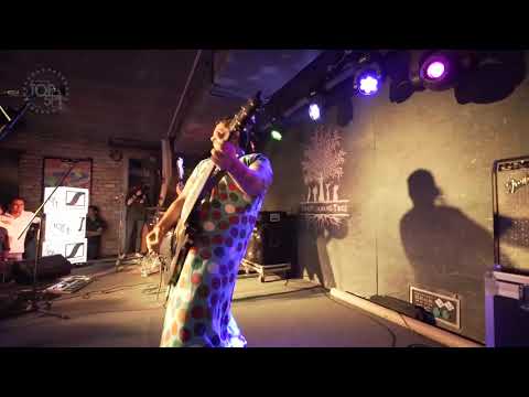 Sennheiser Top 50, South Zonal Finales: All The Fat Children!