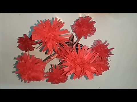 How to Make Crepe Paper flowers   Flower Making of Crepe Paper    Paper Flower Tutorial