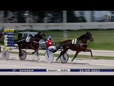 Aversa trotto 21 Aprile 2021 - 3° Corsa