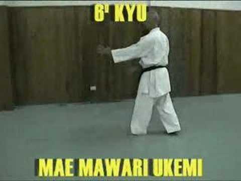 Mae Mawari Ukemi(6ºKyu)